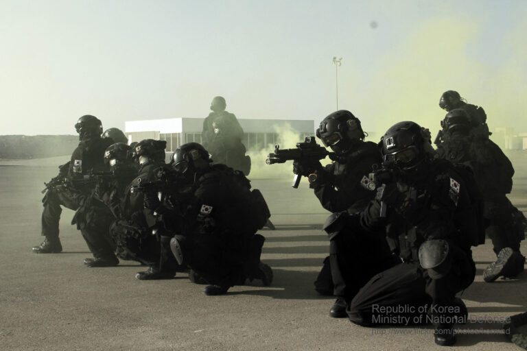 Pasukan Khusus Terbaik: Brigade ke-10 Korea